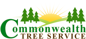 Commonwealth Tree Service - Skilled Tree Services In In Lexington, Kentucky -859-351-1358